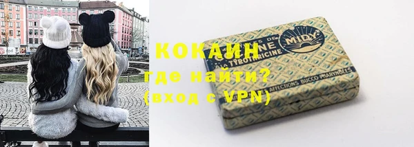 бошки Алексин