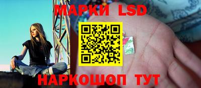 гидропоника Жуковский