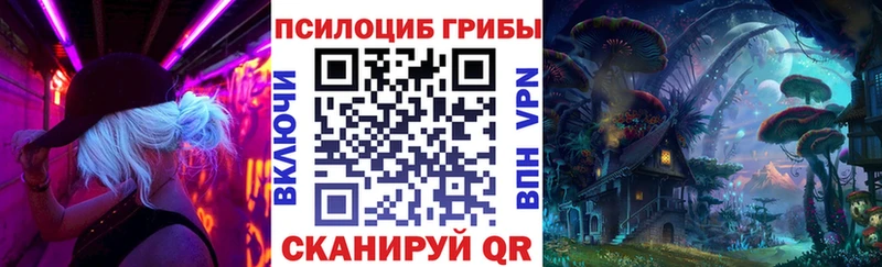 Псилоцибиновые грибы GOLDEN TEACHER  как найти наркотики  Фрязино 