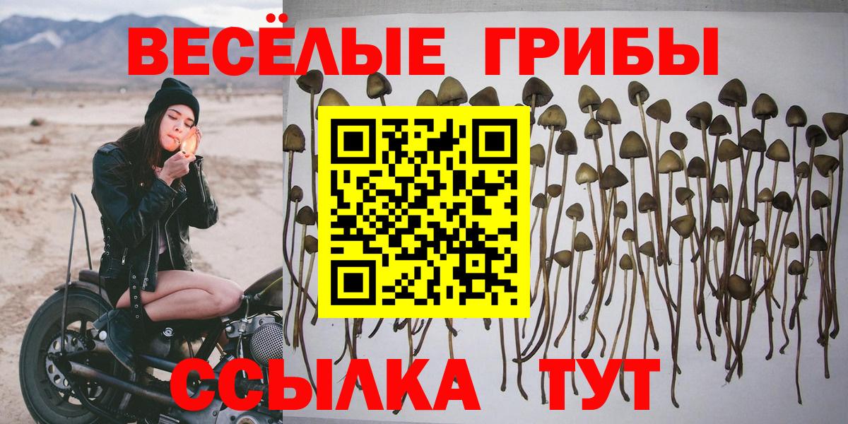 Фрязино  Псилоцибиновые грибы Psilocybe  Псилоцибиновые грибы ЛСД  купить наркотики цена  Вход с VPN 