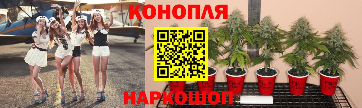 МАРИХУАНА SATIVA & INDICA Фрязино